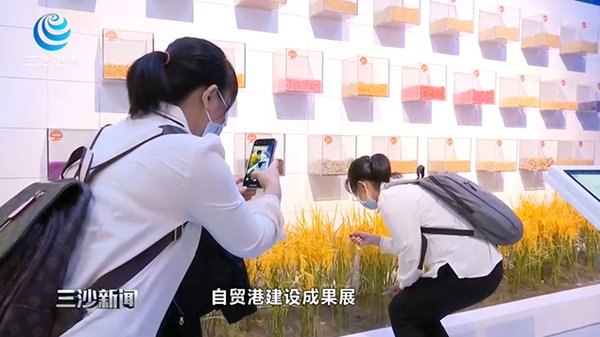 //鼠标触发对象 targetCel