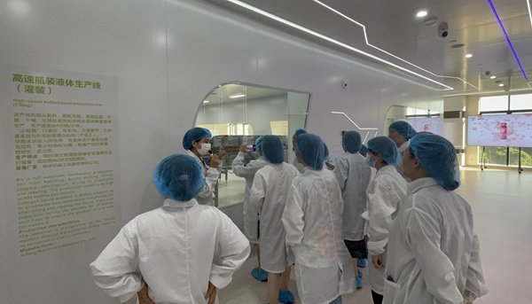 // 效果类型