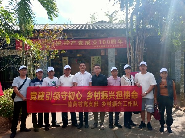 茄苪村先后被评为海南省卫生村