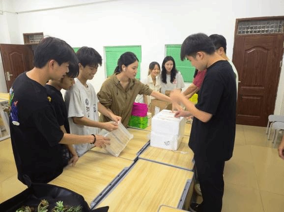 人文艺术星空app官方端web站新人