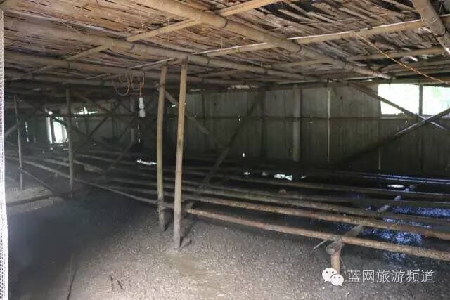 重要链接 -新华网 -人民网 -中华