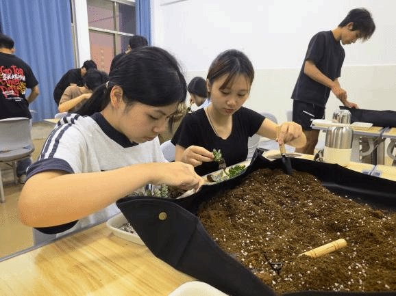 开展“植愈心灵·绿意伴暖”心理健康疗